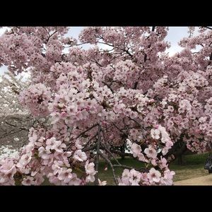 Meet your Posher, Nicole